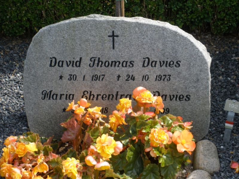 David Thomas Davies.JPG